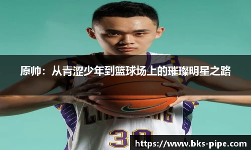 星空·综合体育官方网站